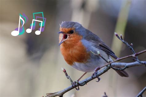  The Bird Who Sings at Dawn - A Masterpiece Carved From Sunlight and Shadow