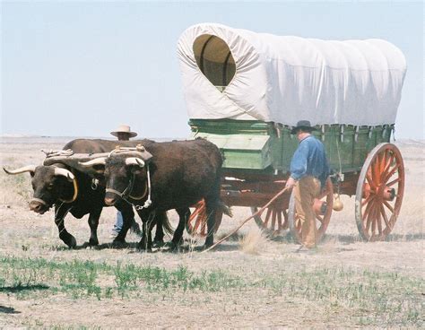  The Ox Wagon – 섬세한 조형미와 역사의 숨결을 담은 기념비